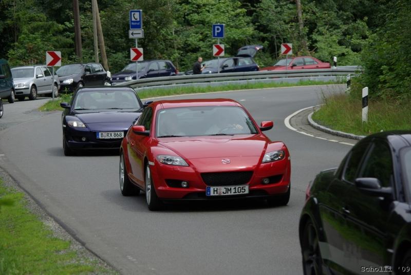 Harz 2009 078.jpg